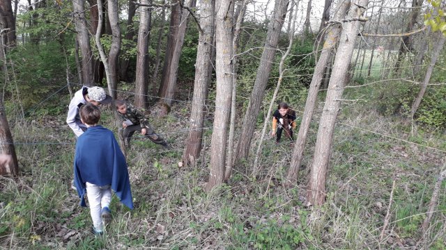 20190430_182324_resize