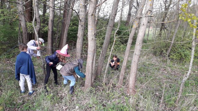 20190430_182332_resize