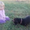 Lidka » Drakiáda 2018