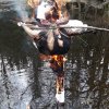 Lidka &raquo; Vítání jara 2019