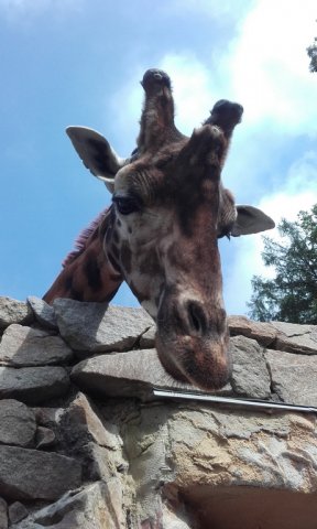 20180519_103007_resize
