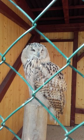 20180519_104307_resize