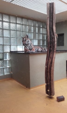 20180519_115123_resize