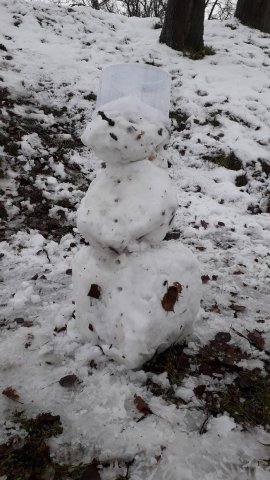 20190105_141607_resize